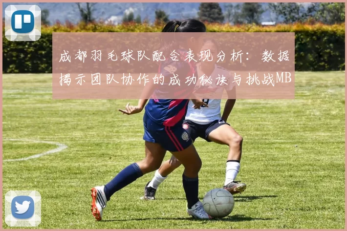 成都羽毛球队配合表现分析：数据揭示团队协作的成功秘诀与挑战MBA