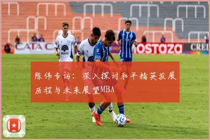 陈伟专访：深入探讨和平精英发展历程与未来展望MBA