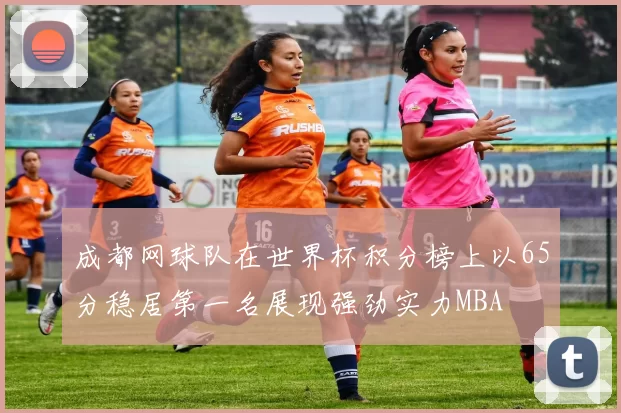 成都网球队在世界杯积分榜上以65分稳居第一名展现强劲实力MBA