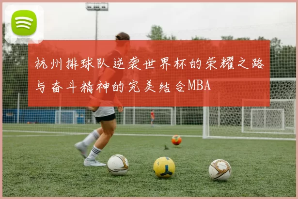 杭州排球队逆袭世界杯的荣耀之路与奋斗精神的完美结合MBA