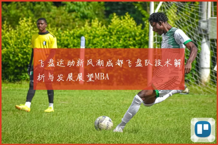 飞盘运动新风潮成都飞盘队技术解析与发展展望MBA