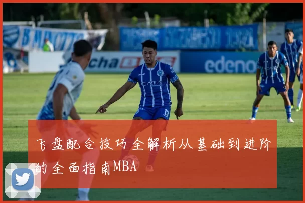 飞盘配合技巧全解析从基础到进阶的全面指南MBA