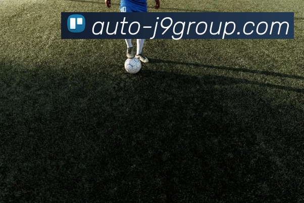 J9集团平台APP 封面图